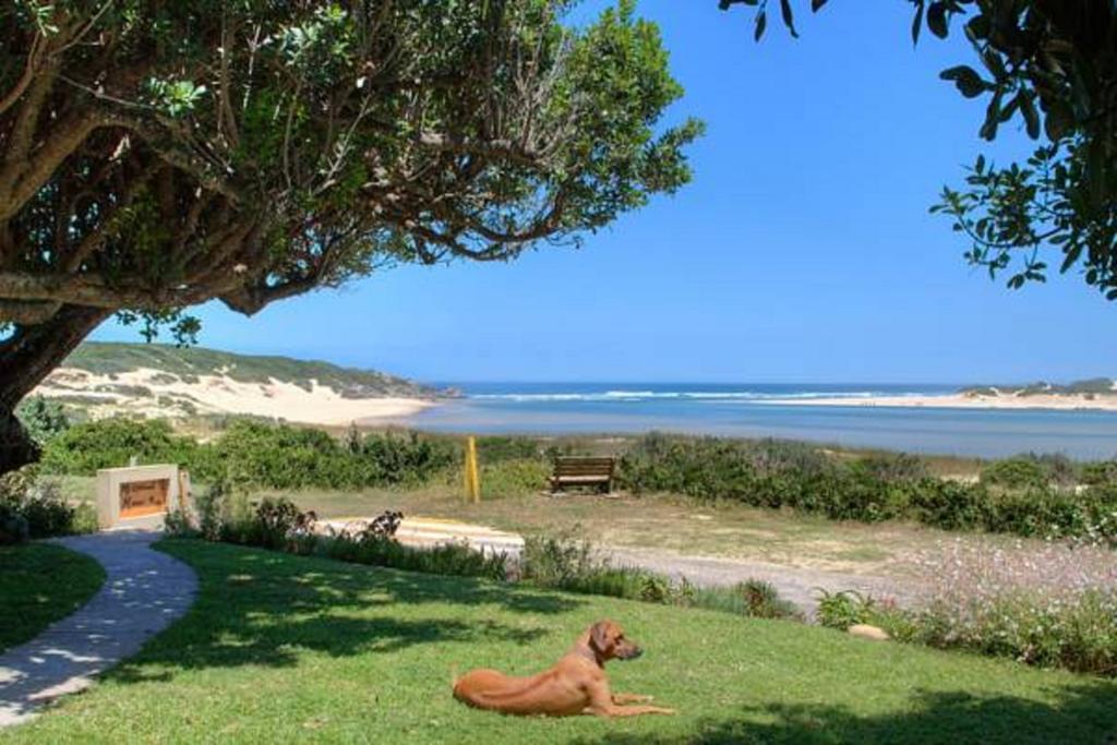 Milkwood Manor B & B Kenton on Sea Exterior foto